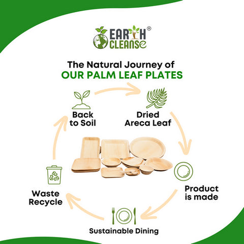 Earth Cleanse, Areca Palm Leaf Square Plates 7-Inch, Pack of 200